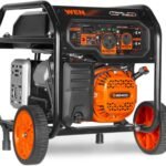 WEN DF5600X Dual Fuel Generator